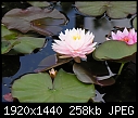 Click image for larger version

Name:	DSCN1803.jpg
Views:	660
Size:	257.7 KB
ID:	14361