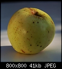 After years: my 1st 'home-grown' apple-apple_001-0.jpg