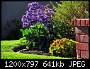 Click image for larger version

Name:	A little corner of my yard.jpg
Views:	259
Size:	641.3 KB
ID:	14674
