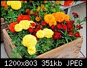 -box-flowers-064.jpg