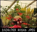 Hampton Court flower show: a photographic challenge-z_marquee_5344.jpg