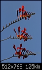 Click image for larger version

Name:	z_Crocosmia_6242.JPG
Views:	258
Size:	125.0 KB
ID:	15717