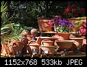 Chelsea Flower Show 2: The Laughing Potter-z_3350a.jpg