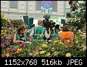 Chelsea Flower Show 4: TV Crew among the Flowers-z_3504.jpg