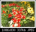 Click image for larger version

Name:	DSCN1264.JPG
Views:	275
Size:	336.7 KB
ID:	16120