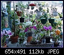 Click image for larger version

Name:	Patio BloomersDSC04033.jpg
Views:	241
Size:	112.0 KB
ID:	2978