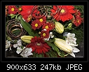 A nice gift-0460-1 of 3-b-0460-patflowers-23-12-06-30s.jpg