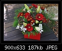 A nice gift-0460-2 of 3-b-0463-patflowers-23-12-06-30s.jpg