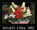 A nice gift-0460-3 of 3-b-0470-patflowers-23-12-06-30s.jpg