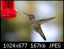 Click image for larger version

Name:	Bird.jpg
Views:	184
Size:	166.8 KB
ID:	3153