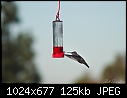 I have 3 of these and they love 'em!-my-old-humminagbird-feeder.jpg