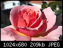 Click image for larger version

Name:	1 12 07 Rose.jpg
Views:	309
Size:	209.4 KB
ID:	3209
