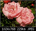 Click image for larger version

Name:	KU 200.jpg
Views:	153
Size:	228.7 KB
ID:	3213