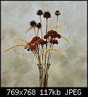 Click image for larger version

Name:	Winter Vase_4857b.jpg
Views:	260
Size:	116.6 KB
ID:	3219