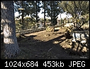 Click image for larger version

Name:	Backyard 2.jpg
Views:	191
Size:	453.0 KB
ID:	3275