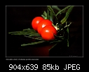 Jerusalem cherry-1228-1 of 2-b-1228-jeruscherry-16-01-07-30t.jpg
