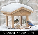 Click image for larger version

Name:	mrbfeeder8691.jpg
Views:	215
Size:	109.8 KB
ID:	4063