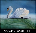 -swan.jpg