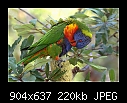 Click image for larger version

Name:	b-0250a-rainlor-20-04-07-30-400.jpg
Views:	274
Size:	219.8 KB
ID:	5129
