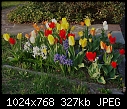 -spring-path-dsc00050.jpg