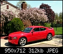 -2007-dodge-charger-hemi-r-t-road-track-performance-group-beside-flowering-crab-trees-torred-sfvl