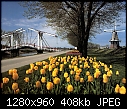 For Padraig: different kinds of gardens &amp; folliage - De Zwaan Windmill, Holland, Michigan.jpg 417984 bytes-de-zwaan-windmill-holland-michigan.jpg