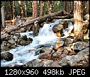 -flowing-water-over-rocks-trees.jpg