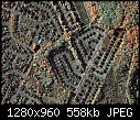 For Padraig: different kinds of gardens &amp; folliage - House Suburban Neighborhood seen from Space.jpg 571816 bytes-house-suburban-neighborhood-seen-space.jpg