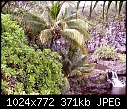 For Padraig: different kinds of gardens &amp; folliage - Maui, Hawaii Waterfalls.jpg 379628 bytes-maui-hawaii-waterfalls.jpg