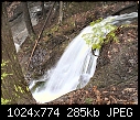 -river-waterfall-wooded-setting.jpg