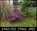 Click image for larger version

Name:	Copy of May20 001.jpg
Views:	246
Size:	373.6 KB
ID:	5649