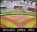 Click image for larger version

Name:	CH flowers.jpg
Views:	305
Size:	194.8 KB
ID:	5813