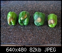 soft spot on peppers-peppers.jpg