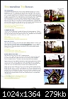 Tree Houses Etc  Page-2 Image2.jpg (1/1)   279K-page-2-image2.jpg