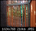 Tree Houses Etc  2007_0626-Trees-Houses--0058.JPG (1/1)   209K-2007_0626-trees-houses-0058.jpg