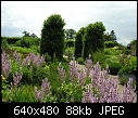 Loseley House garden-dscn0583.jpg