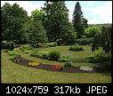 July 1 - Backyard Garden-B_065.JPG-backyard-garden-b_065.jpg