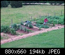 -garden-scarecrow.jpg