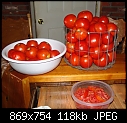 My Veggie Garden - tomatoes-fourth-pickin.jpg