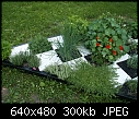 Checkerboard Herb Garden - File 1 of 4 - checkerboard garden 004.jpg (1/1)-checkerboard-garden-004.jpg