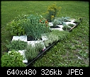 Checkerboard Herb Garden - File 3 of 4 - checkerboard garden 002.jpg (1/1)-checkerboard-garden-002.jpg