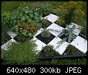 Checkerboard Herb Garden - File 4 of 4 - checkerboard garden 003.jpg (1/1)-checkerboard-garden-003.jpg