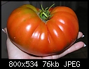 Click image for larger version

Name:	2007 vegetables 005a.jpg
Views:	2979
Size:	76.0 KB
ID:	6497