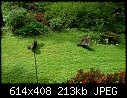 Birds getting some sun - -smallDSC00632.JPG (1/1)-smalldsc00632.jpg