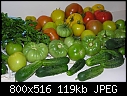 Click image for larger version

Name:	2007 vegetables 030a.jpg
Views:	264
Size:	119.4 KB
ID:	6552