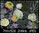 Philadelphia Flower Show  - The Rest 7-abc1c-189a.jpg