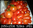 Today's Tomato Harvest-dscn0060.jpg