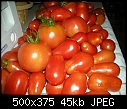 Repost of yesterday's tomato harvest-wbmaters.jpg