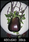The Eggplant-eggplantglamourshot.jpg