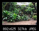 Sections of my garden. 8/8-b-0099-yard-02-10-07-20-85.jpg